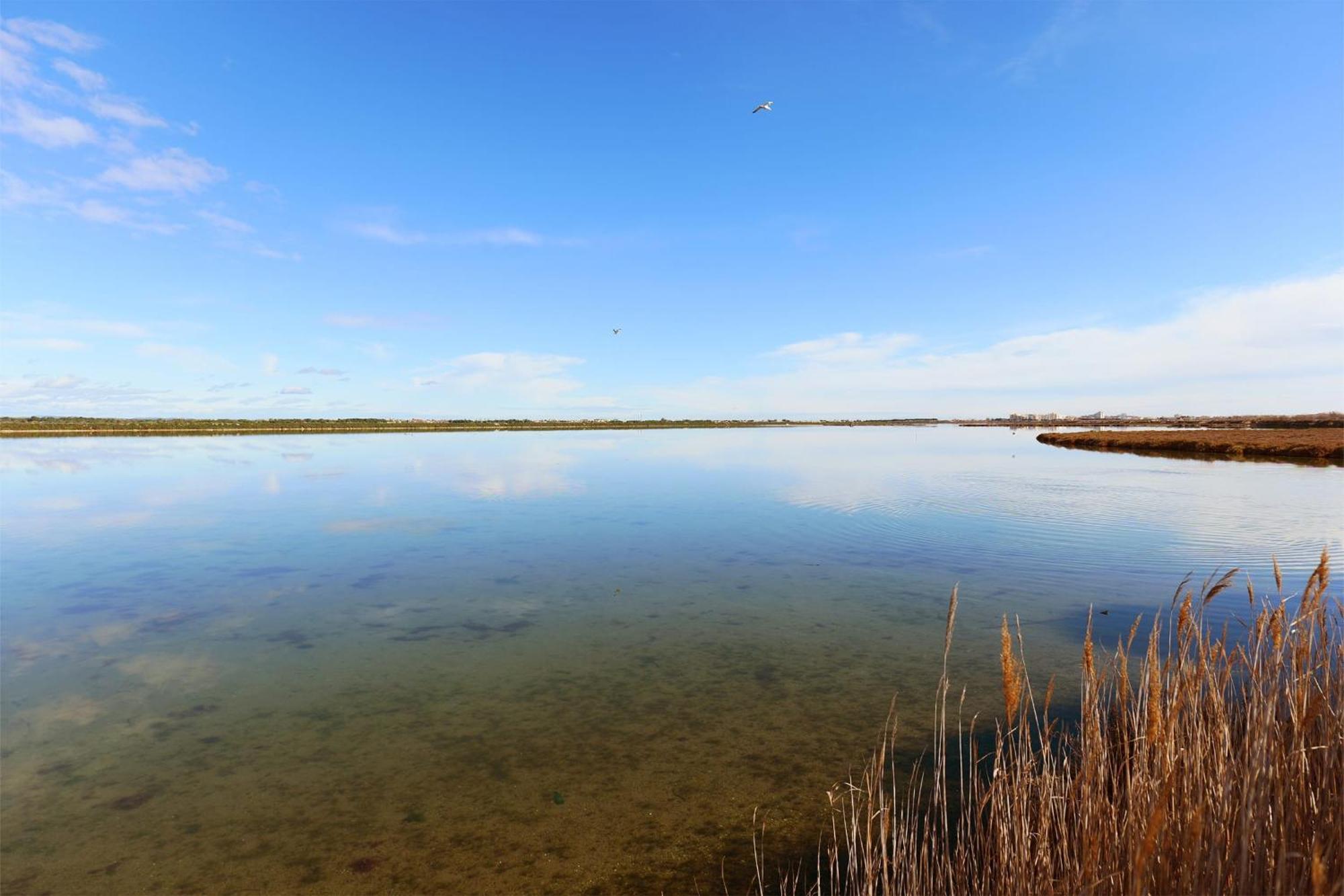 Appartement Fantino - Welkeys Palavas-les-Flots Exteriör bild